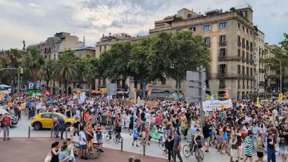 Barcelona protests: residents rally against mass tourism