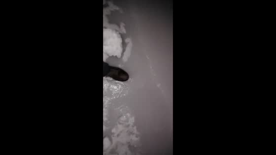 Sidewalk coated in thick ice creates hazardous conditions in Nicholasville, Kentucky, USA
