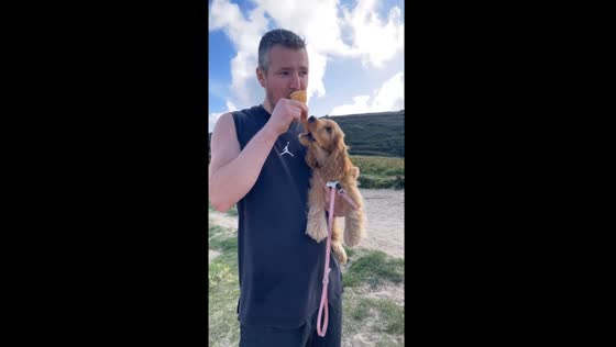 Adorable ice cream heist: Spaniel takes matters into his own paws!