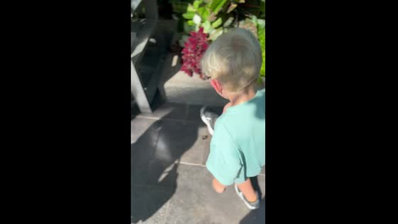 Toddler accidentally kills butterfly at Calgary zoo