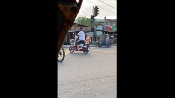Dog rides motorbike in Manila with reflector jacket