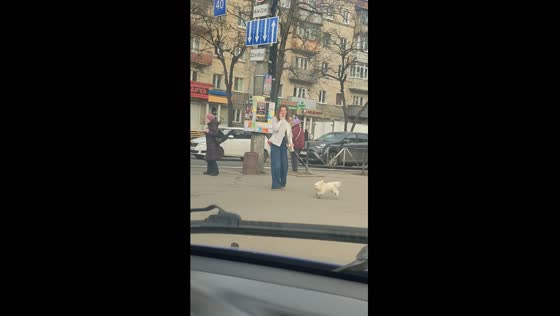Playful pup takes owner for a spin!