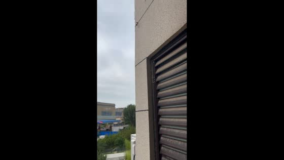 Man hilariously tosses food at cicada from window in Liaoning, China