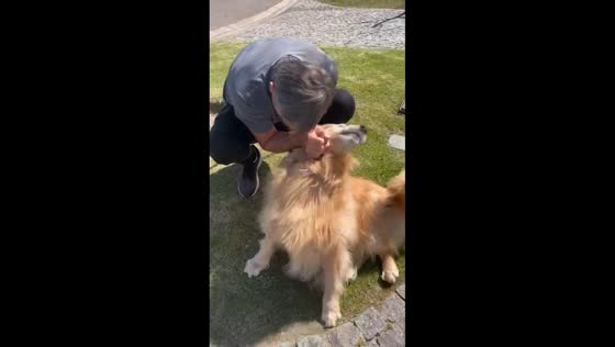 Dogs welcome their owner home after hospital stay in Buenos Aires, Argentina