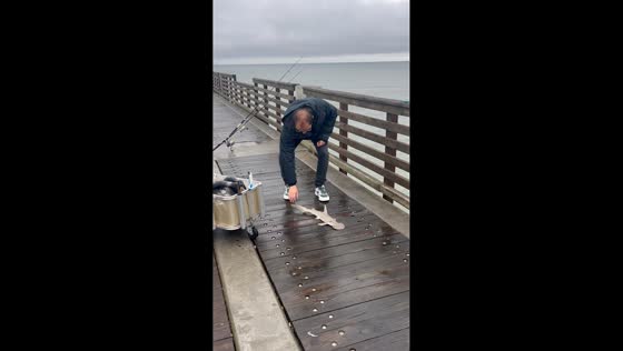 Man rescues hammerhead shark by returning it to the sea in Jacksonville, Florida