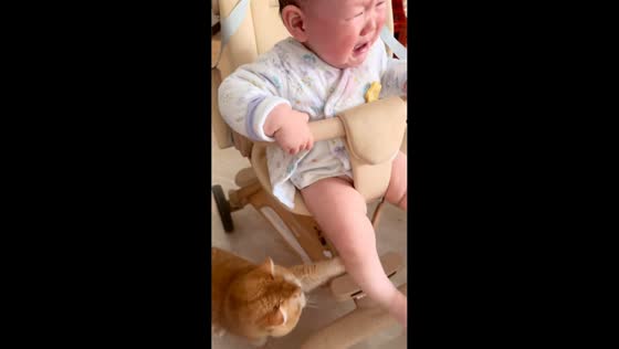 Toddler calmed by cat in Shandong, China
