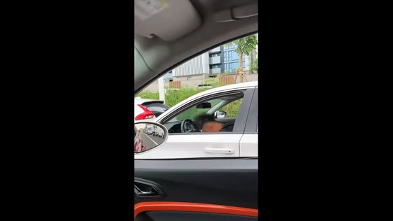 Man enthusiastically dances along to music inside car in Shandong, China