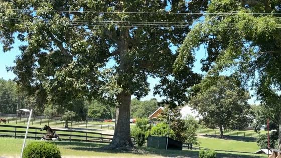 Horse slips while cantering, causing rider to fall in Aiken, USA