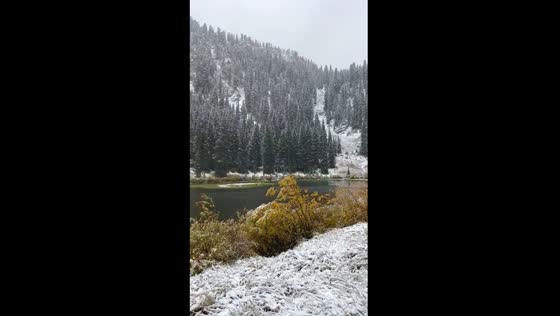 Winter wonderland: Lake Solitude's snowy serenity