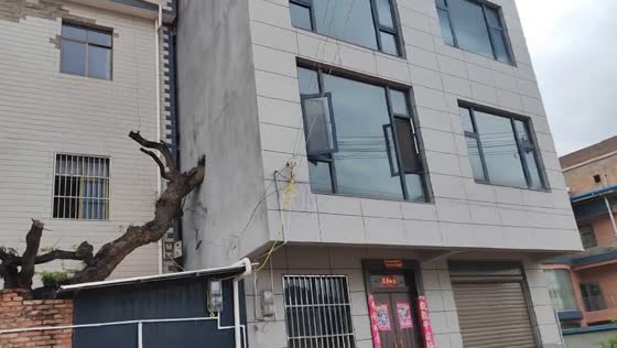Tree grows through house wall in Yunnan, China