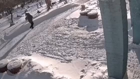 Child attacked by pack of dogs in Omsk, Russia