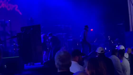 Jane's addiction concert in Boston ends after Perry Farrell punches Dave Navarro