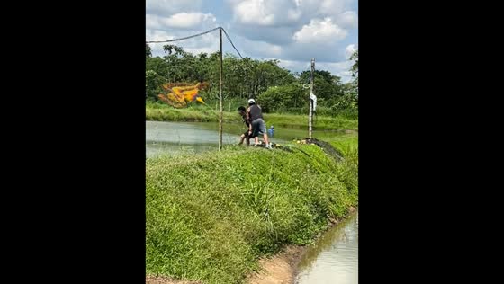 Fishing attempt goes wrong as pair tumble into pond in Joya de Los Sacha, Ecuador