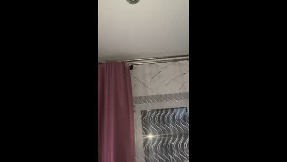Unexpected bat encounter inside apartment in Pskov, Russia