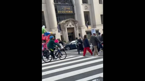 Protesters march with Trump effigy during No Kings rally in Washington, DC, USA
