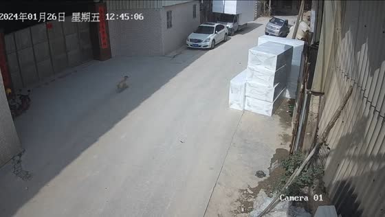 Car moves backwards on its own and crashes in Guangdong, China