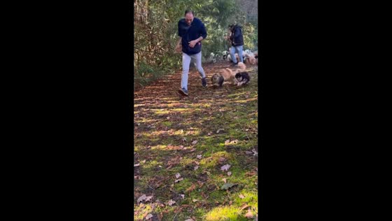 Man runs through forest with group of Pomeranians in Vienna, Austria