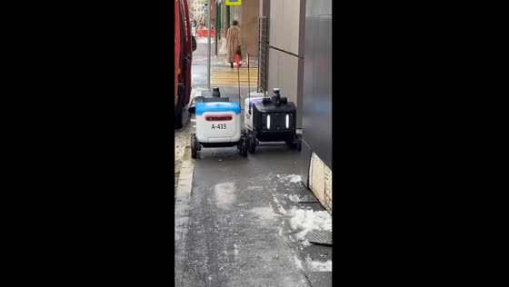 Autonomous encounter: delivery robots' Moscow sidewalk standoff
