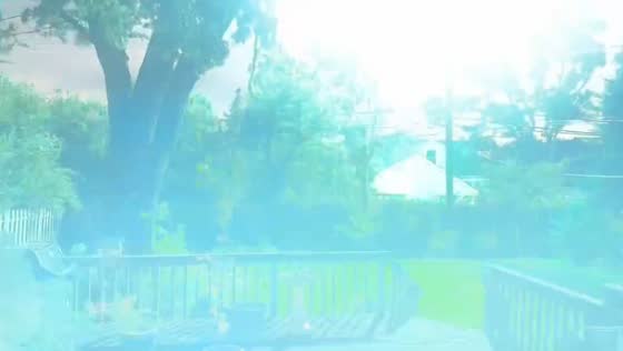 Lightning strikes during windstorm in Royal Oak, Michigan