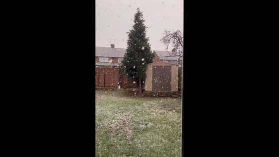 Early morning snowfall in Dunstable, England, UK