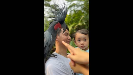 Child's hilarious reaction to bird in Jakarta
