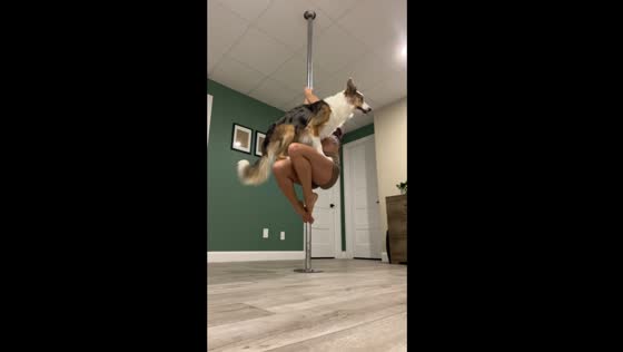 Kingston the canine co-star joins pole dancing workout in Saguenay, Quebec