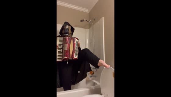 Accordion performance in toilet