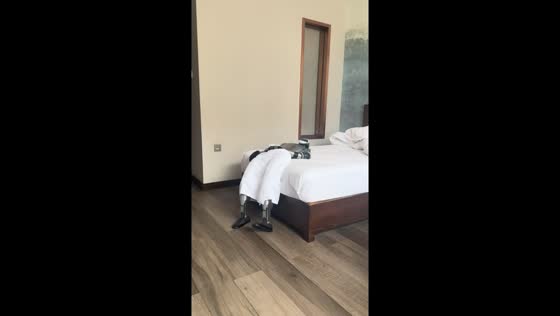 Towel-wrapped robot slips and falls onto bed in Inner Mongolia, China