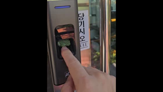 Tiny frog blocks biometric scanner in Daegu, South Korea
