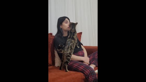 Cat's playful response captured in Ankara video