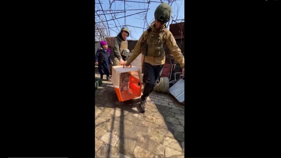 Heroic rescue efforts amidst phosphorus mines: saving 'Malysh' the dog in Chasiv Yar, Ukraine
