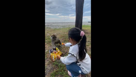 Monkey steals snack from child at Pandan Beach, Bali