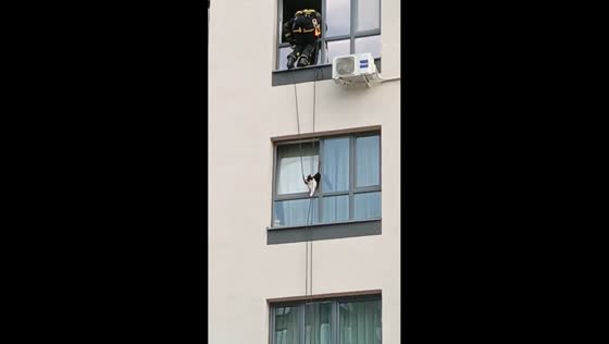 Cat rescued from fourth-floor window in New Moscow, Russia