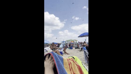 Massive swarm of dragonflies descends on Misquamicut State Beach, Rhode Island