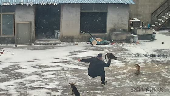 Man slips on snowy ground while carrying pets in Shanxi, China
