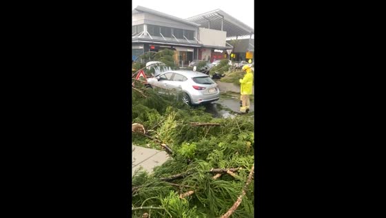 Storm strikes Springfield, Queensland: devastating damage captured by local resident
