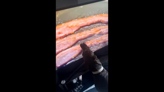 Dog mistakes sizzling bacon on TV for real food in Sheffield, England