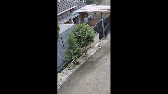 Children attacked by wasps in Arjasari, Bandung, Indonesia