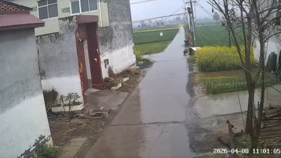 E-bike collide with a car in Henan, China