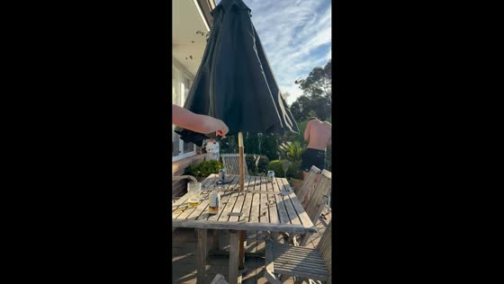 Swarm of moths bursts out of patio umbrella amid seasonal activity in Sydney, Australia
