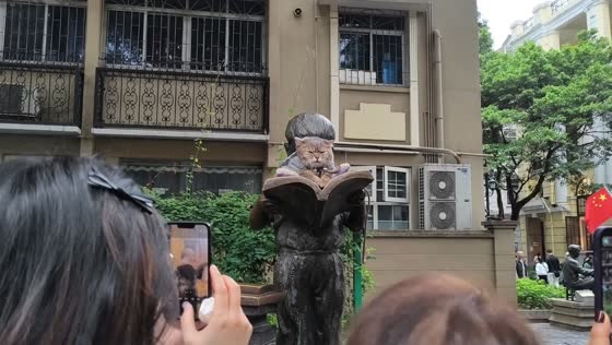 Cat spotted resting on top of statue in Guangzhou, China