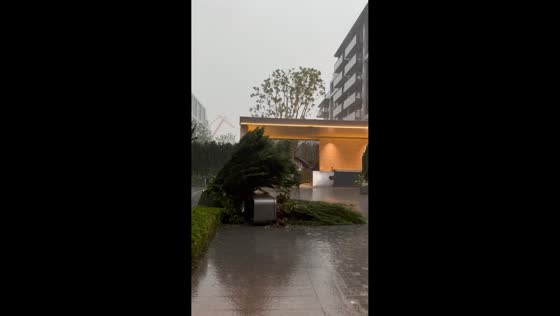 Strong winds send concrete planter sliding into parked car in Shanghai, China