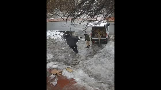 Parked van rolls away on icy ground during loading in Tashkent, Uzbekistan