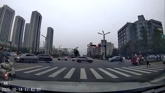 Dog jumps from motorcycle sidecar at traffic light in Shaanxi, China
