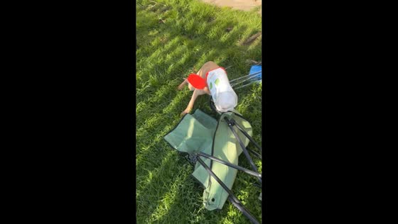 Puppy hilariously gets cardboard tub stuck on her head in Glasgow, UK