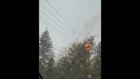 Tree falls on electric cables, ignites fire in Peters Township, PA