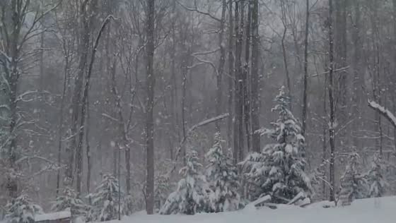 Rare bomb cyclone buries Lexington under a foot of snow in North Carolina, USA