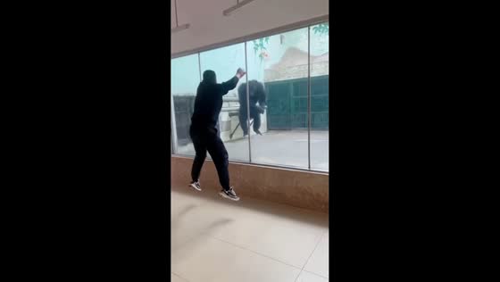 Monkey mimics man’s jump in Jiangsu, China