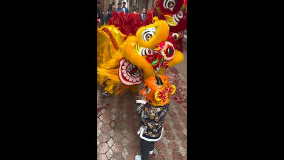 Crossing paths: lion dance bonds big and little lion in Zhanjiang city
