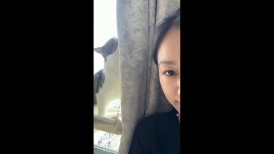 Cat sneaks up and playfully slaps owner in Guizhou, China